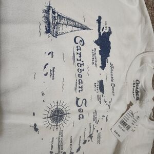 PacSun White and Blue Graphic Sweatshirt